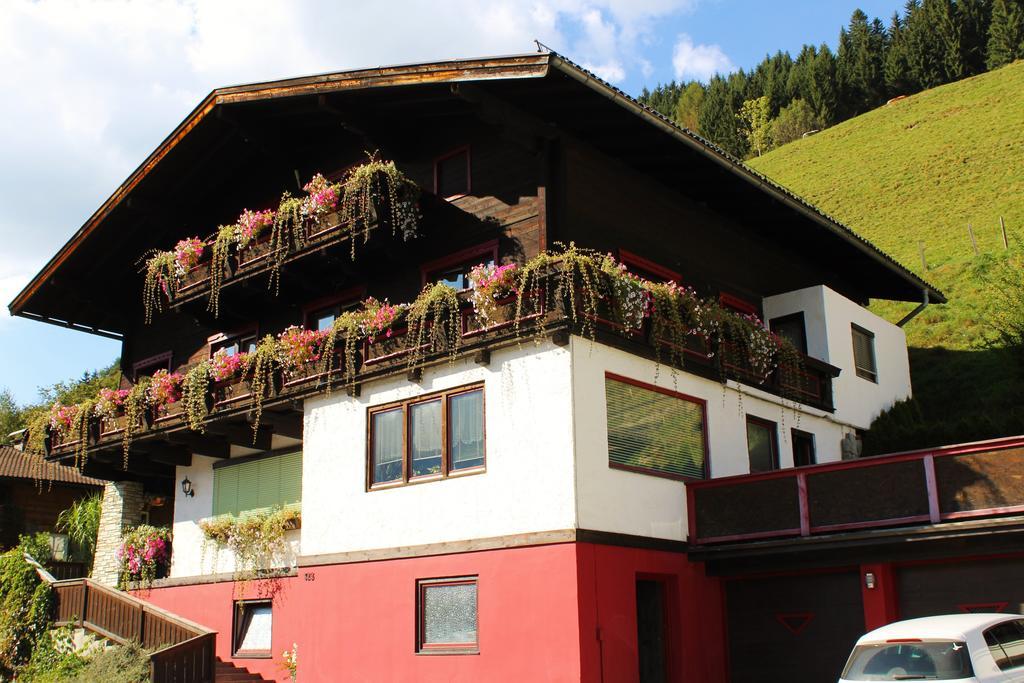 Apartment Seber Stuhlfelden Extérieur photo